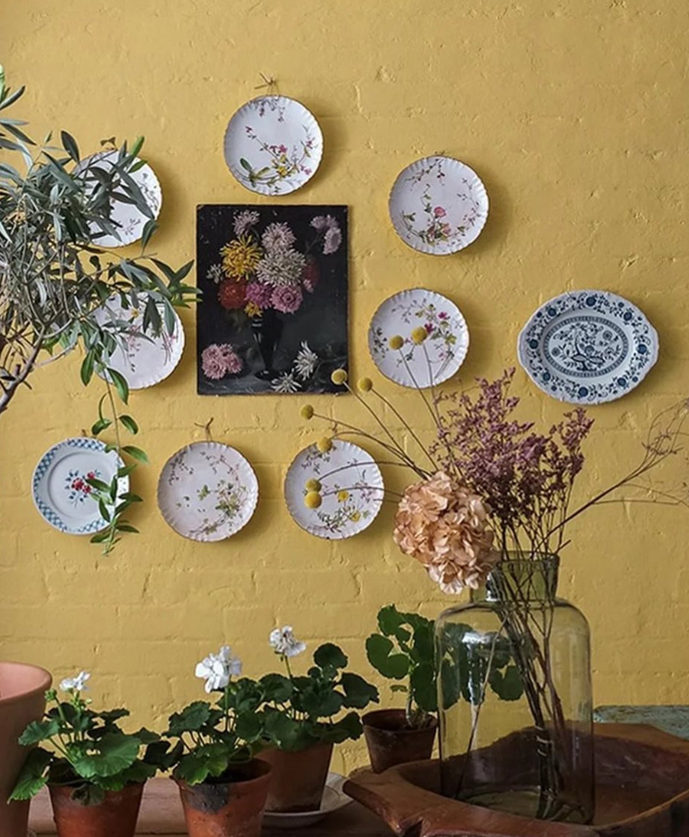 Decorative plates with floral patterns on a muted yellow wall, with plants and a vase in the foreground.
