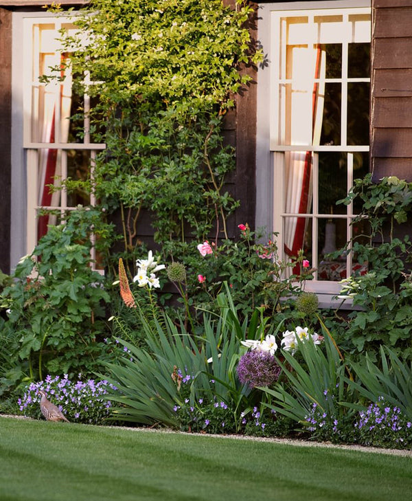 Garden with flowers and plants in front of a house