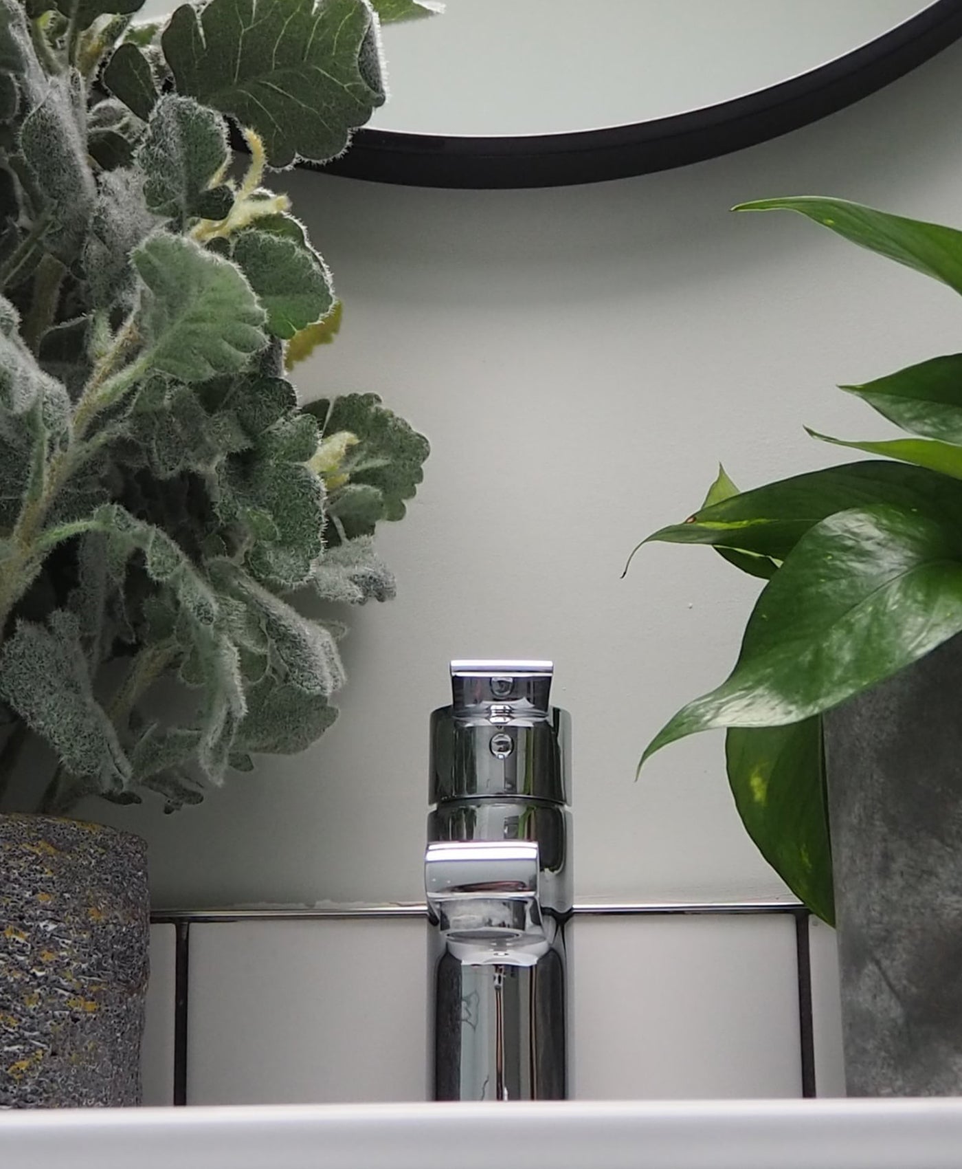 Chrome faucet with plants on either side against a light grey wall.