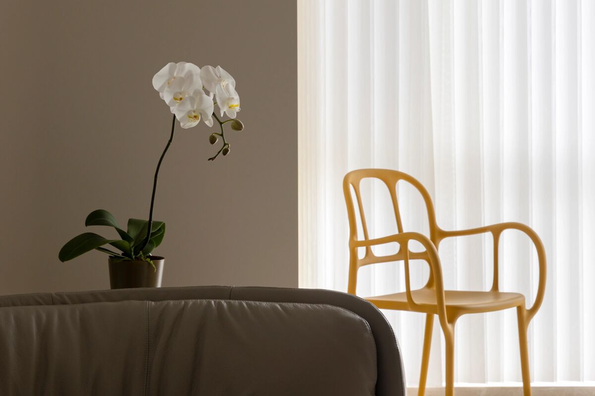 Which colours go with stone?