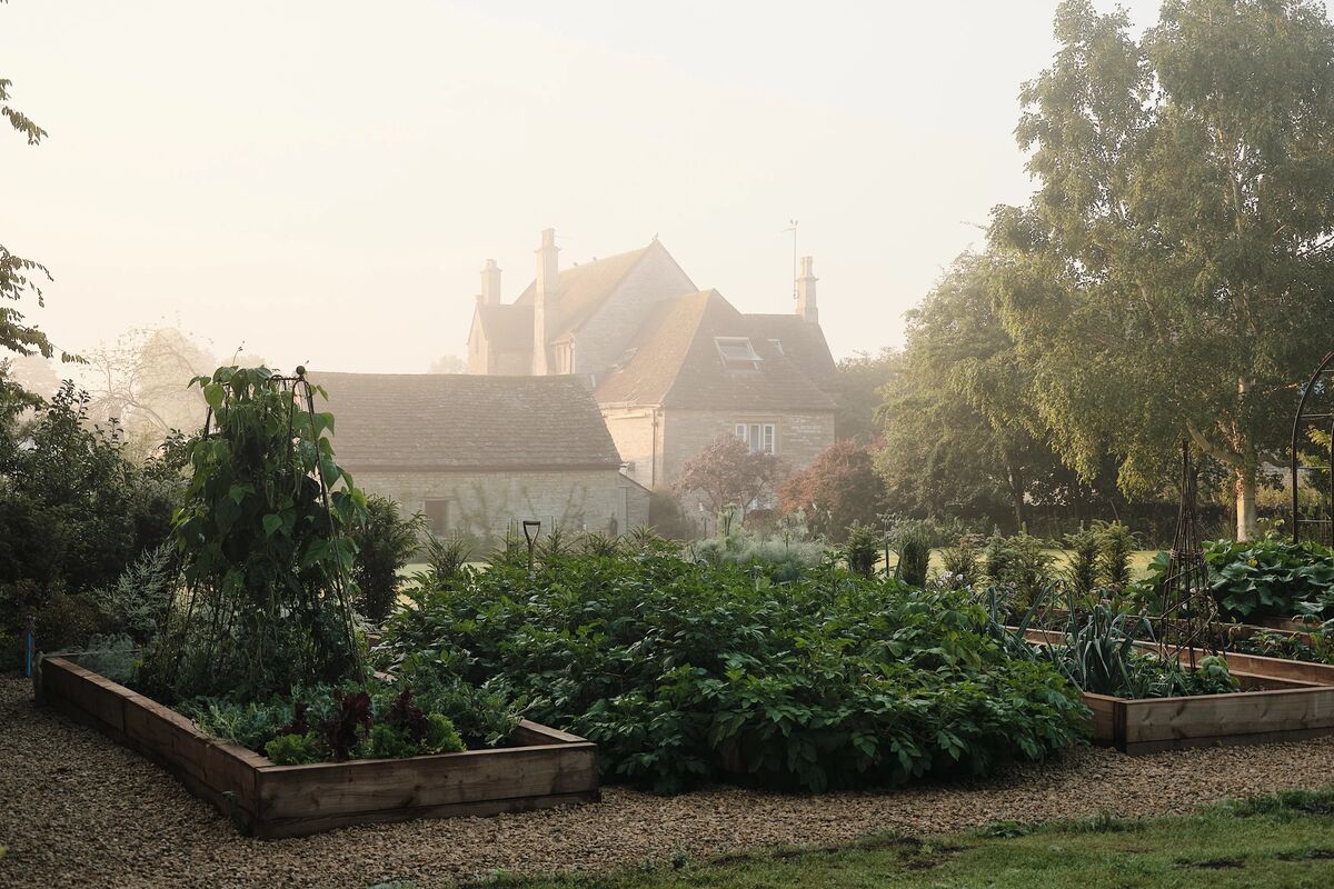 Calm In The Cotswolds: Laura Butler-Madden's House Renewal