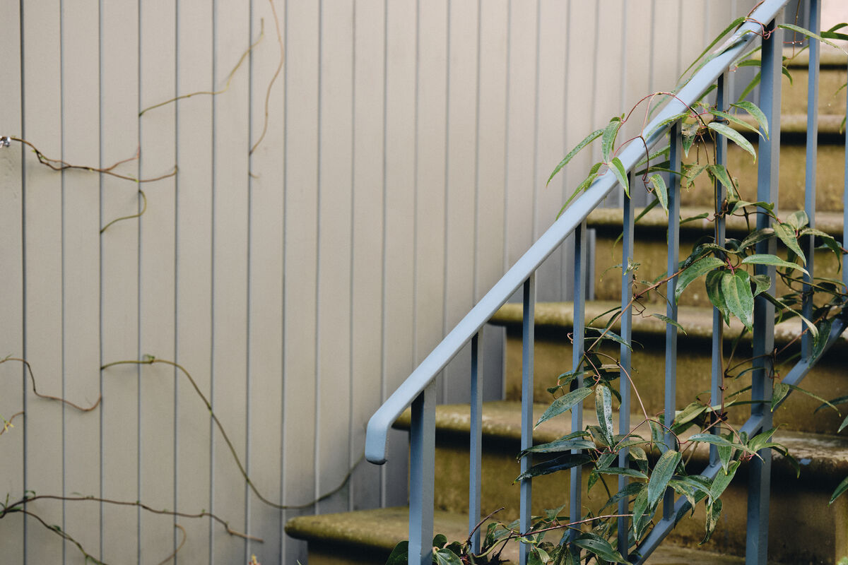 Transforming Garden Features: Fence Painting