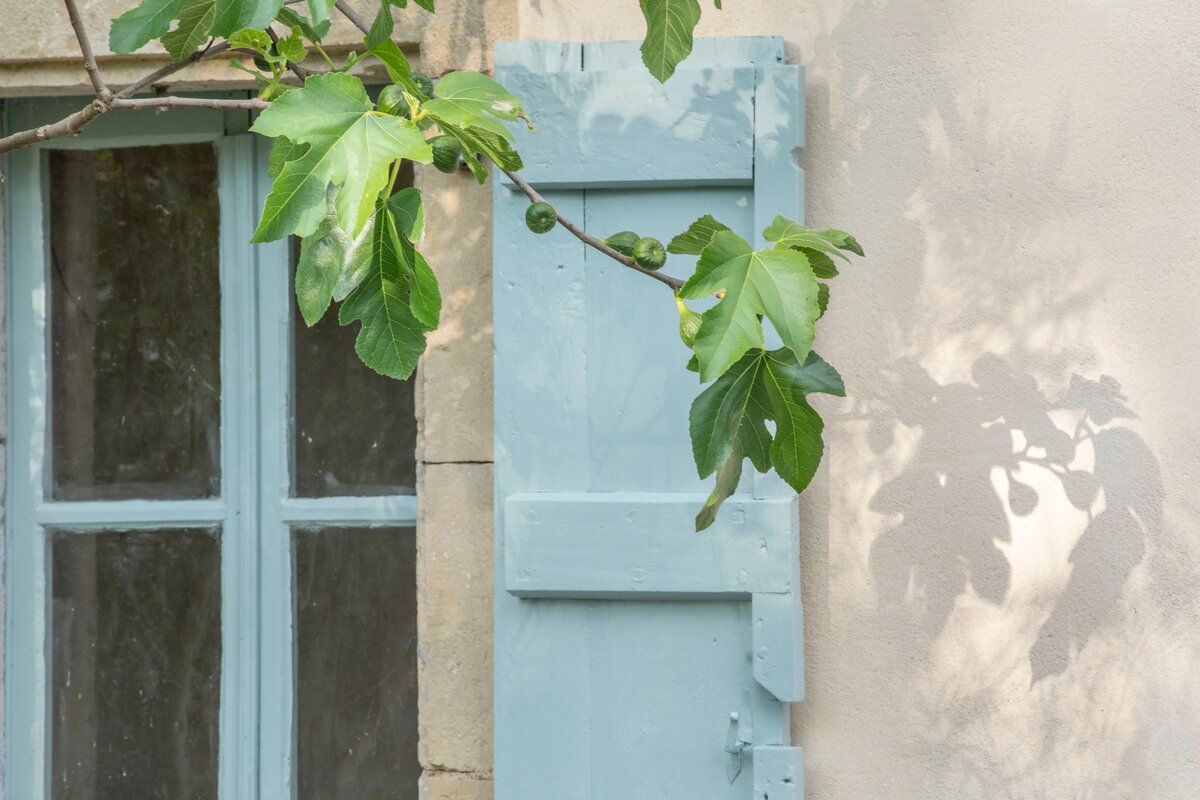 How To Paint Exteriors Using Our Multi-Surface Paints