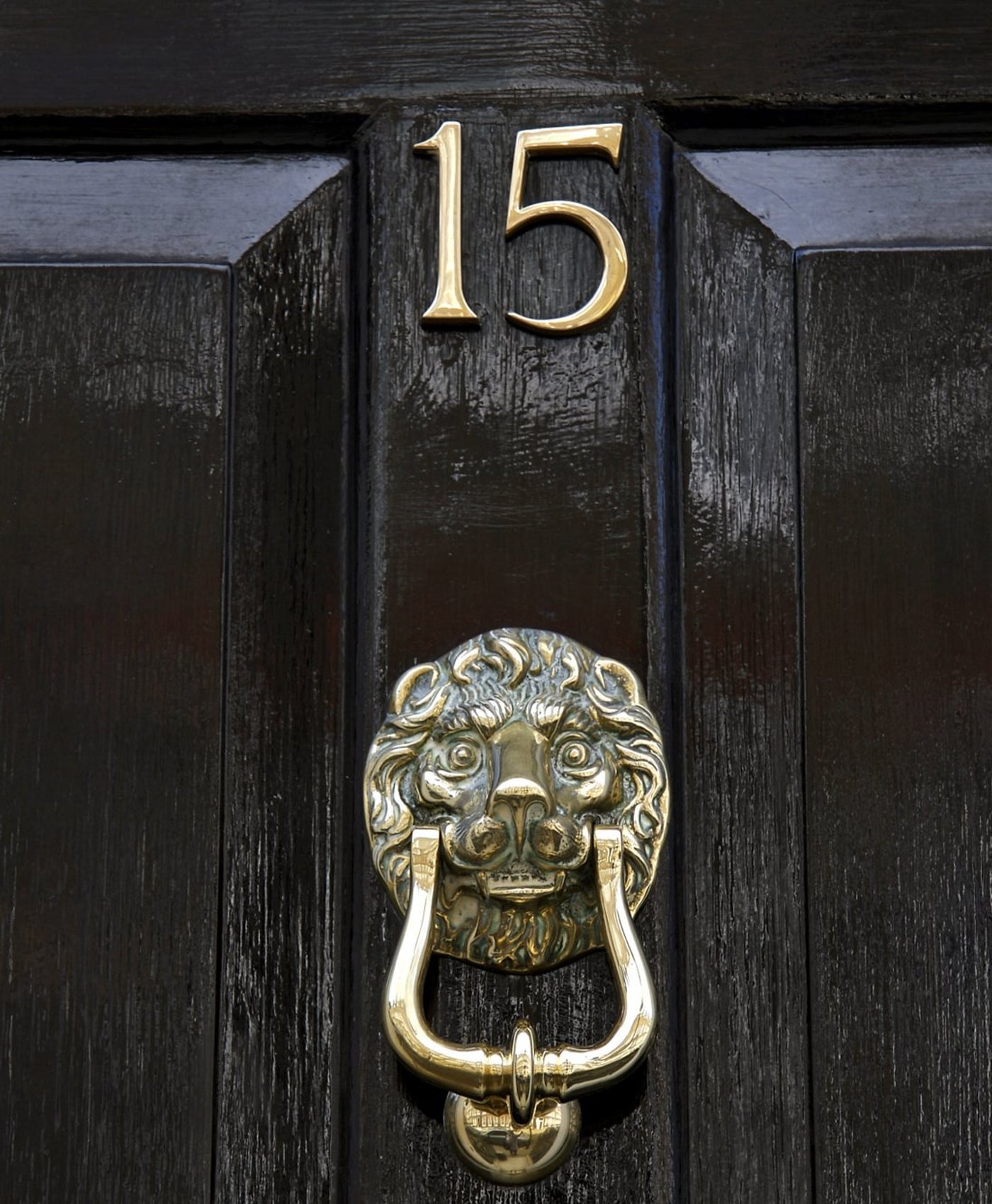 Black door painted in gloss paint with gold lion knocker and number 15