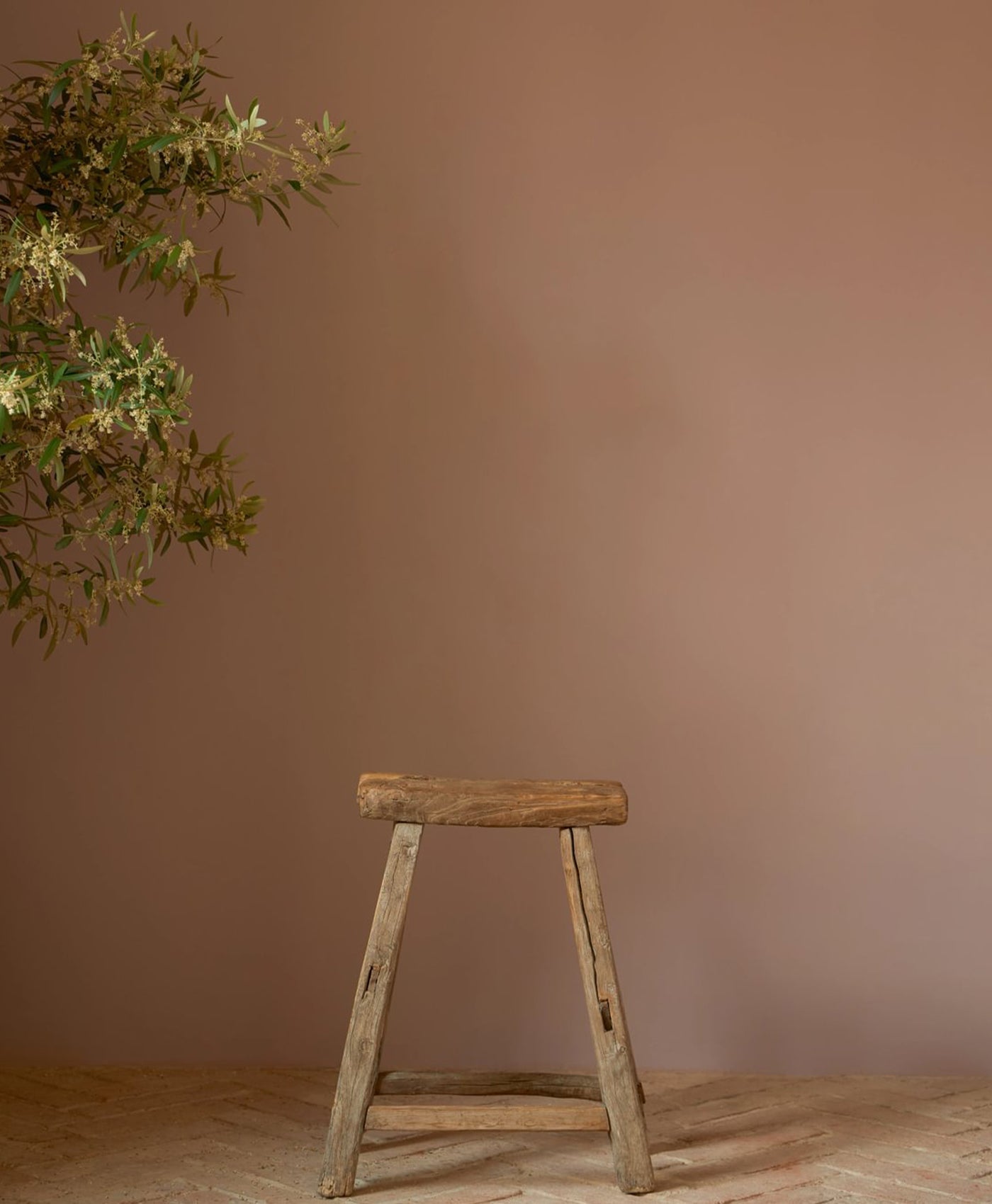 Wooden stool against a brown wall with a plant to the left in room painted in a plaster pink