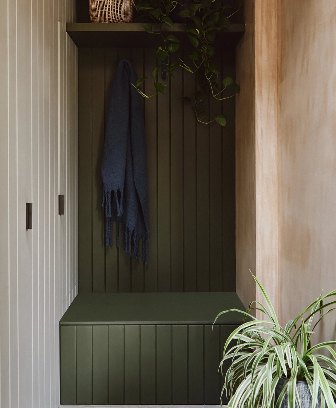 Olive green bench against a wall with a plant and shelf in the background