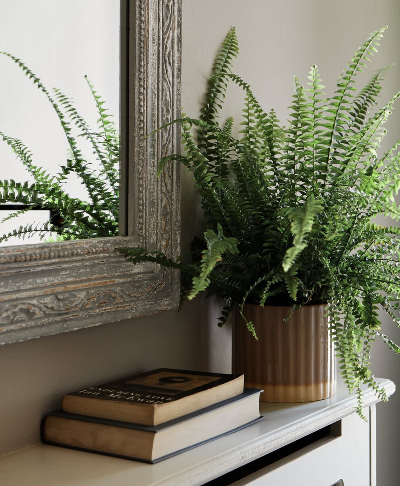 Ferns in a pot on a shelf with books and a decorative mirror. in neutral coloured room